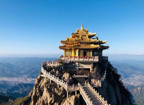 云看萬張圖不如實(shí)地觀賞一朵牡丹花