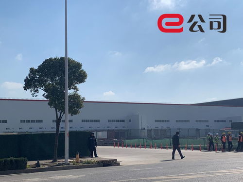 實(shí)探特斯拉上海工廠 半小時拉走36輛model 3